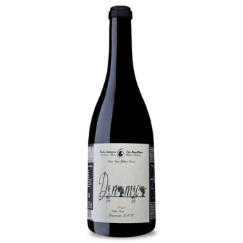 Filipa Pato Dinamica Baga